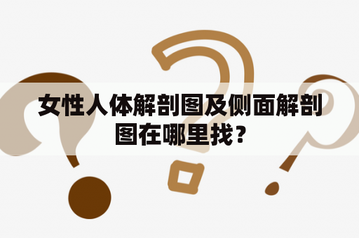 女性人体解剖图及侧面解剖图在哪里找？
