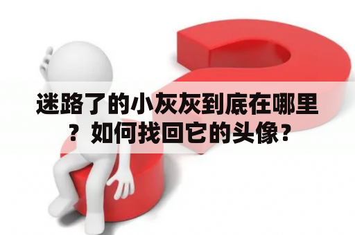 迷路了的小灰灰到底在哪里？如何找回它的头像？