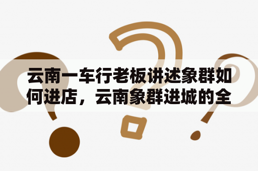 云南一车行老板讲述象群如何进店，云南象群进城的全过程？