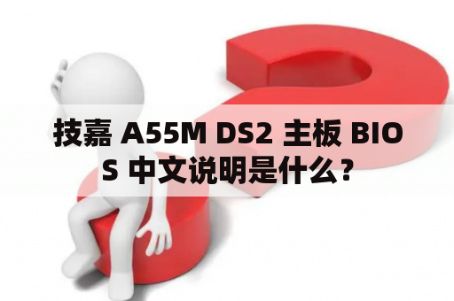 技嘉 A55M DS2 主板 BIOS 中文说明是什么？